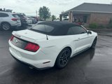 Used 2019 Ford Mustang Premium image 5