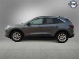 Used 2024 Ford Escape Active image 5