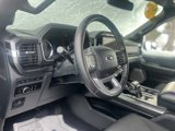 Used 2023 Ford F150 XLT w/ Equipment Group 302A High image 4