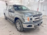 Used 2019 Ford F150 XLT w/ Equipment Group 302A Luxury image 2