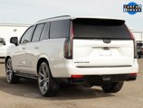 Used 2024 Cadillac Escalade Sport Platinum w/ LPO, ONYX Package image 5