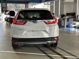 Used 2019 Honda CR-V EX image 6