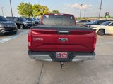 Used 2016 Ford F150 XLT w/ Equipment Group 302A Luxury image 4