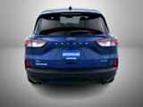 Used 2022 Ford Escape SE w/ SE Sport Appearance Package image 6