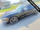 Used 2019 Ford Mustang Premium image 2