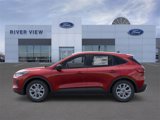 New 2025 Ford Escape Active w/ Cold Weather Package image 3