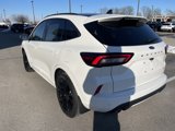 Certified 2024 Ford Escape ST-Line Elite w/ Premium Technology Package image 5