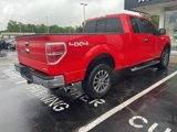 Used 2014 Ford F150 XLT w/ Equipment Group 302A Luxury image 6
