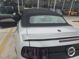 Used 2013 Ford Mustang GT Premium w/ Security Pkg image 3