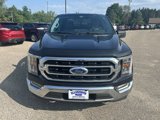 Used 2021 Ford F150 XLT w/ Equipment Group 302A High image 2