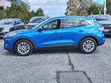 Used 2020 Ford Escape SE image 4