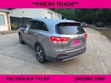 Used 2017 Kia Sorento EX image 3