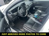 Used 2017 Honda Accord Sport Special Edition image 3