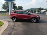 Used 2019 Ford Escape Titanium image 4