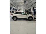 Certified 2022 Ford Escape SE w/ Convenience Package image 4