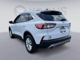 Used 2022 Ford Escape SE w/ Convenience Package image 4