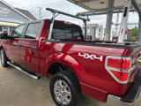 Used 2014 Ford F150 XLT w/ Equipment Group 302A Luxury image 3