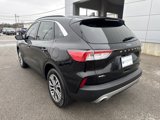 Used 2022 Ford Escape SEL image 3