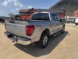 New 2025 Ford F150 XLT image 5