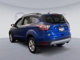 Used 2017 Ford Escape SE w/ SE Leather Comfort Package image 4