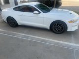 Used 2018 Ford Mustang Premium w/ Equipment Group 201A image 2