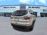 Used 2017 Ford Escape SE w/ SE Sport Appearance Package image 5