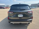 Used 2020 Ford Escape Titanium image 4