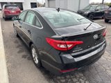 Used 2016 Hyundai Sonata SE w/ Cargo Package image 5