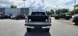 Used 2020 Ford F150 XLT w/ Equipment Group 302A Luxury image 5