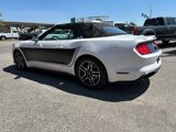 Used 2018 Ford Mustang Premium image 6