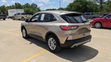 Used 2020 Ford Escape SE image 5