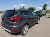 Used 2019 Ford Escape SE image 6