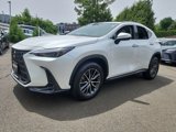 Used 2022 Lexus NX 350 AWD image 3