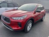 New 2025 Ford Escape Active w/ Cold Weather Package image 3