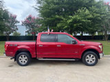 Used 2016 Ford F150 XLT w/ Equipment Group 302A Luxury image 2