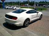 Used 2015 Ford Mustang 50 Years image 4