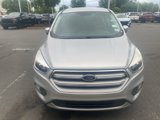 Used 2017 Ford Escape SE w/ SE Cold Weather Package image 2