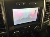 Used 2020 Ford F150 XLT w/ Equipment Group 302A Luxury image 2