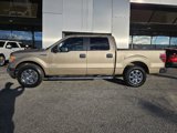 Used 2013 Ford F150 XLT w/ Luxury Equipment Group image 2