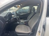 Used 2020 Ford Escape SE image 6