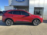 New 2025 Ford Escape ST-Line w/ Tech Pack #1 image 3