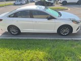 Used 2019 Hyundai Sonata SE w/ Cargo Package image 4