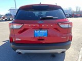 Certified 2021 Ford Escape SE image 5