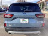 New 2025 Ford Escape Platinum w/ Premium Technology Package image 4