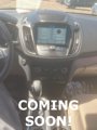 Used 2019 Ford Escape SE image 5