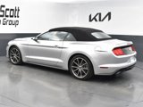 Used 2019 Ford Mustang Premium w/ Equipment Group 201A image 3