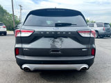Used 2020 Ford Escape SEL image 5