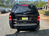 Used 2011 Ford Escape XLT w/ Cargo Pkg image 5