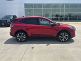 Used 2022 Ford Escape SE w/ SE Sport Appearance Package image 2