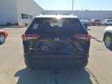 Used 2020 Toyota RAV4 XLE image 5